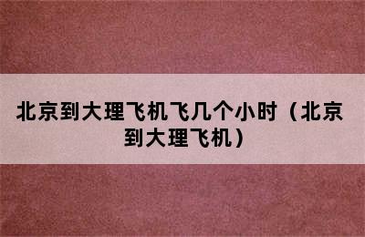 北京到大理飞机飞几个小时（北京 到大理飞机）